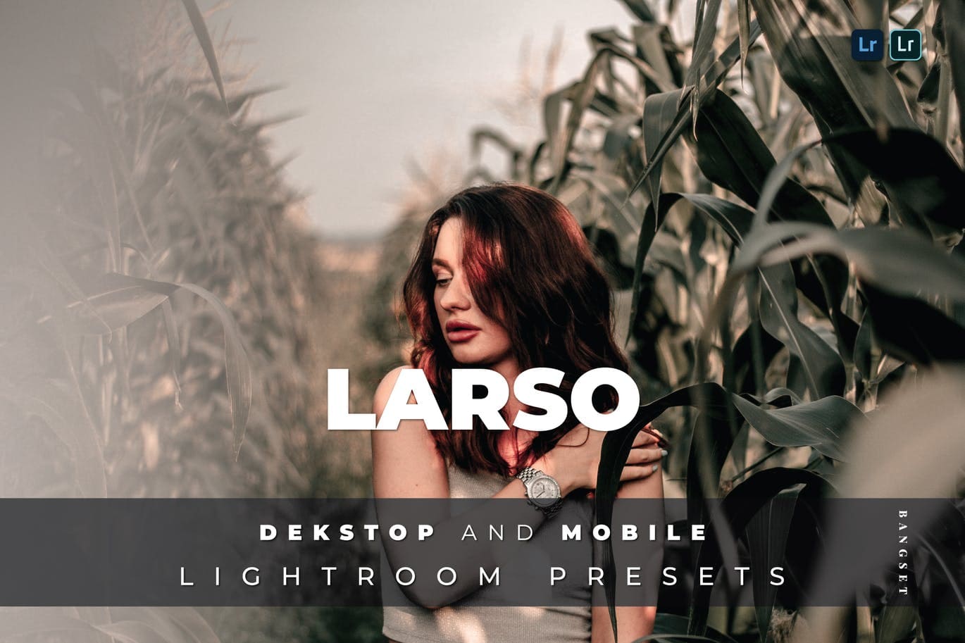 elements-envato-larso-desktop-and-mobile-lightroom-preset-2021.jpg