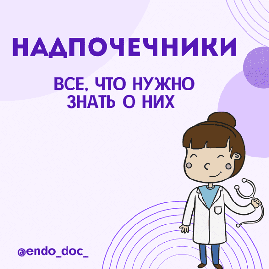 larisa-chumak-endo_doc_-metodichka-vse-chto-nuzhno-znat-o-nadpochechnikax-2021.png