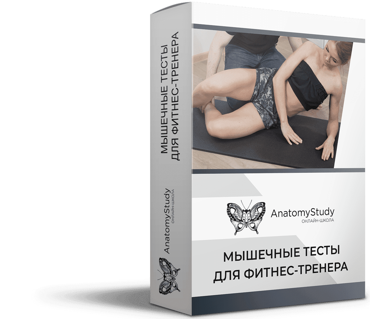 Скачать - Андрей Богатырев. Мышечные тесты для фитнес тренера (2021).png