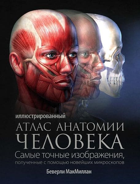 Скачать - Беверли МакМиллан. Иллюстрированный атлас анатомии человека (2010)..jpg