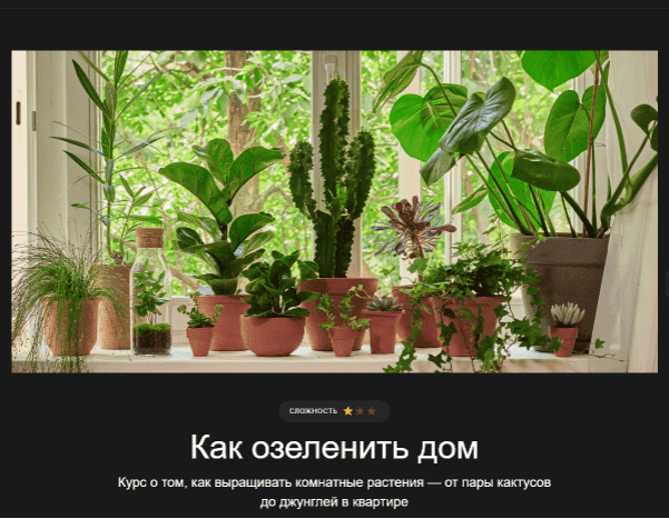 Скачать - Варя Баркалова. Как озеленить дом (2021).png